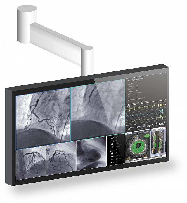 Monitor - Arm Mountable VESA Compliance