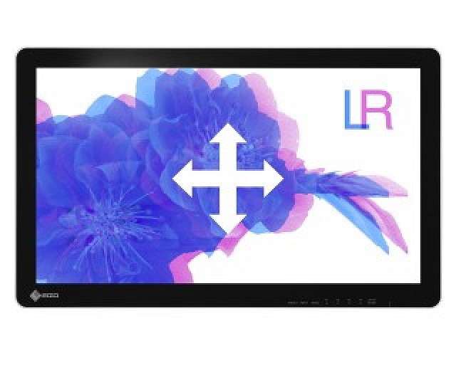 Monitor - Endo 3D - Parallaxe